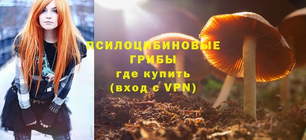 jwh Пересвет