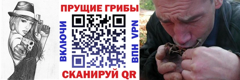 Галлюциногенные грибы мицелий блэк спрут зеркало Кушва