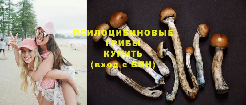 где найти   Кушва  Галлюциногенные грибы MAGIC MUSHROOMS 