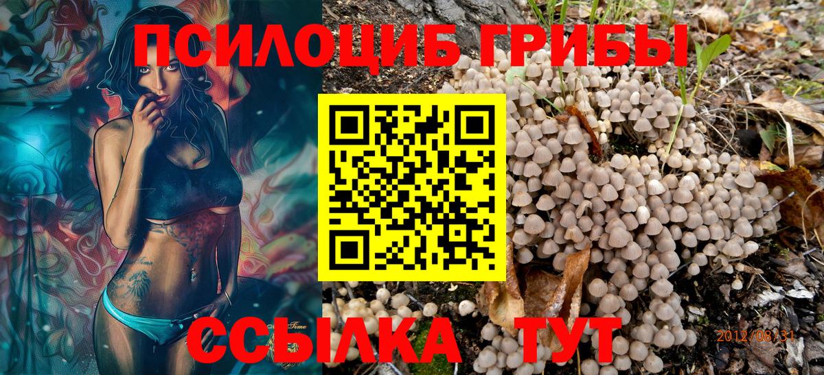 Галлюциногенные грибы ЛСД Кушва