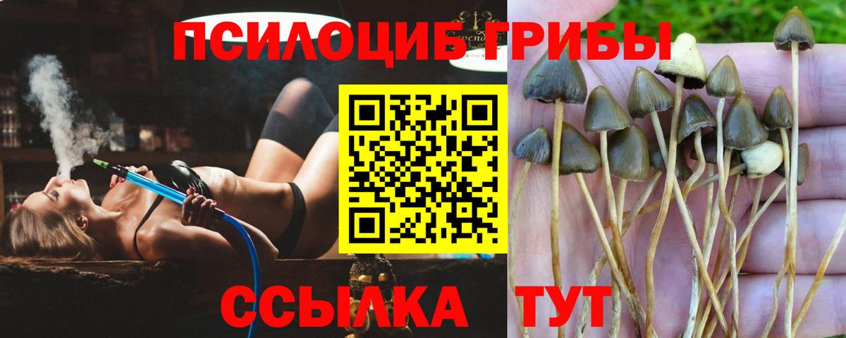 Псилоцибиновые грибы ЛСД  Вход с VPN  Кушва 