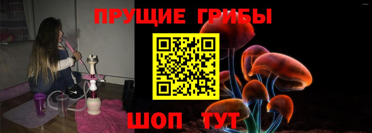 Галлюциногенные грибы Psilocybe Кушва